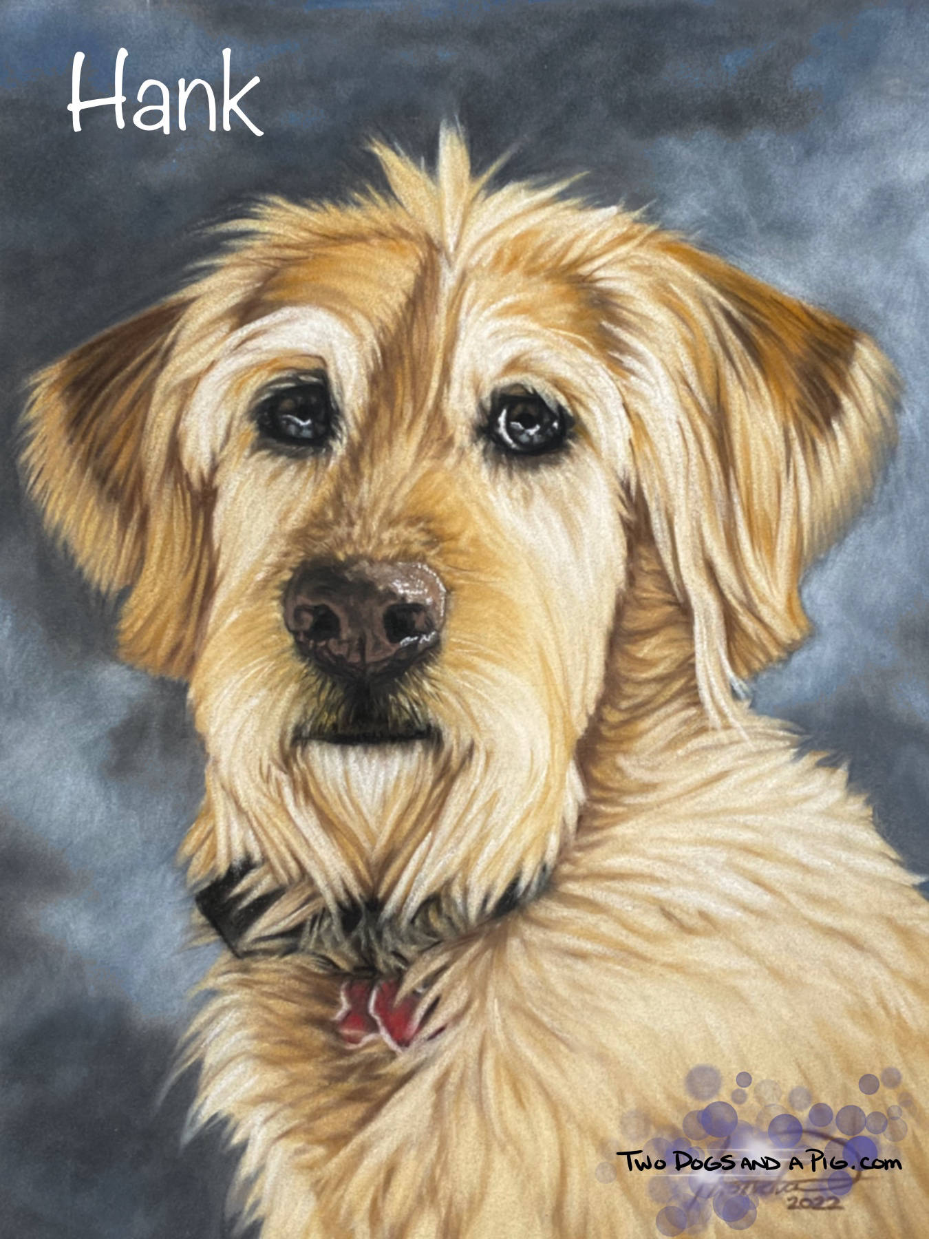 Portrait of dog Hank